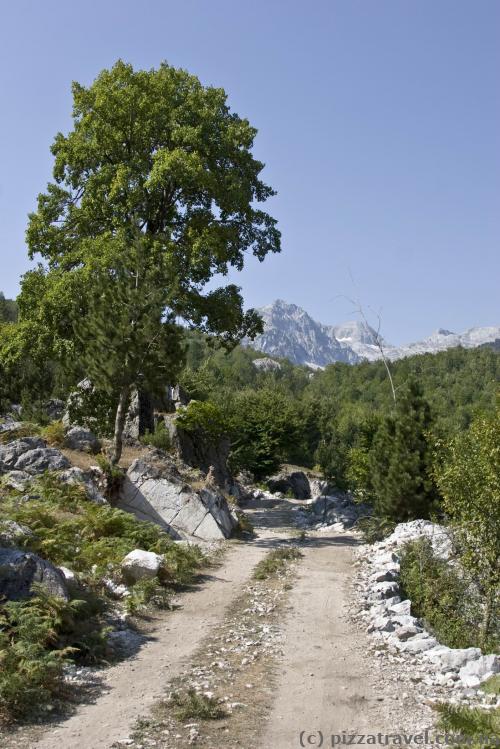 Valbona in Albania