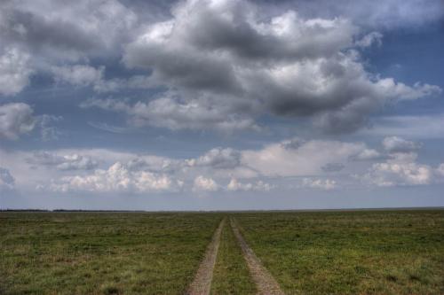 Reserved steppe