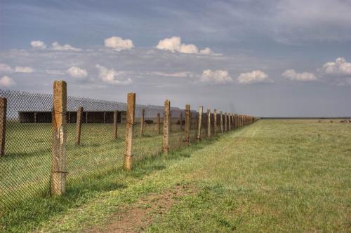 Reserved steppe