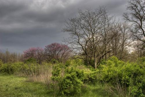 Arboretum