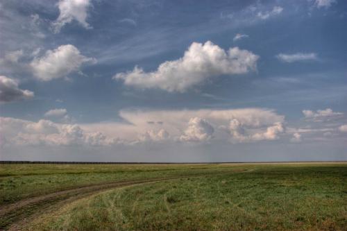 Reserved steppe