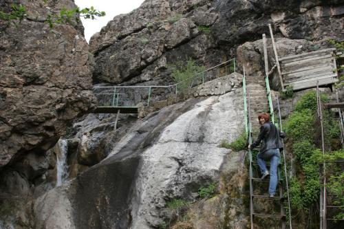 Zelenogorje (Arpat)