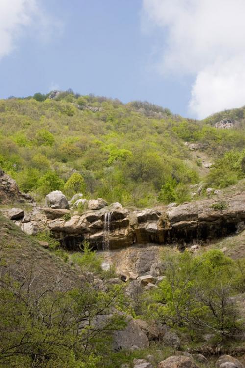 Zelenogorje (Arpat)