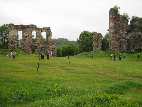 Buchach Castle