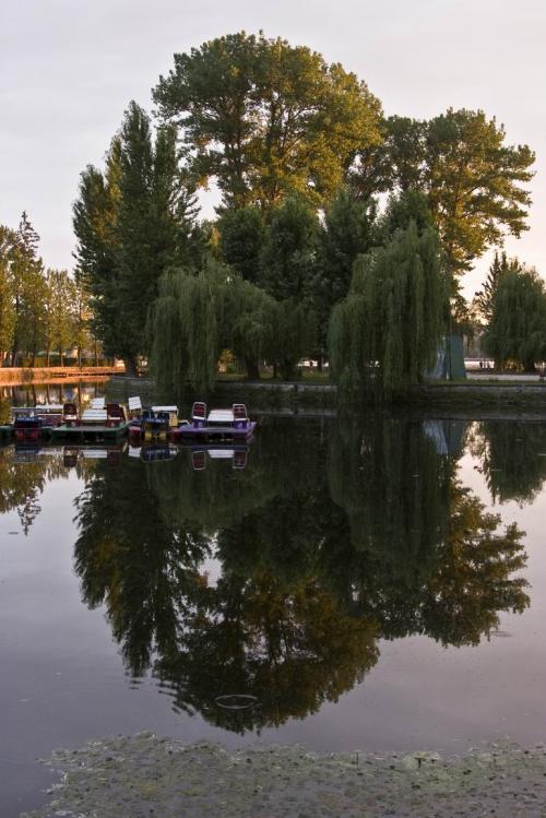 Тернопольский пруд