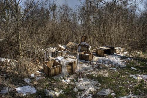 Trash is the problem of the entire Ukraine.