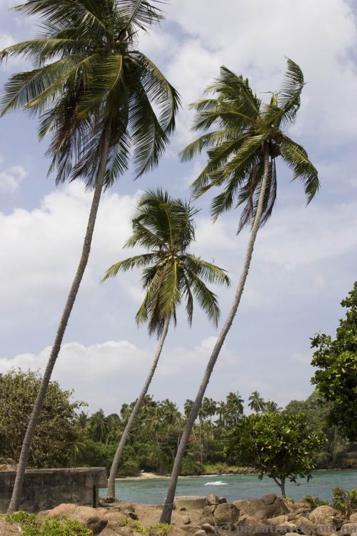 Cape Dondra, southernmost point of Sri Lanka