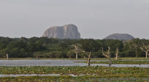 Elephant mountain