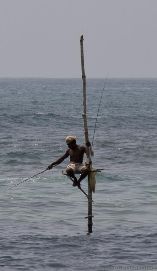 Fisherman on a pole in Weligama Bay