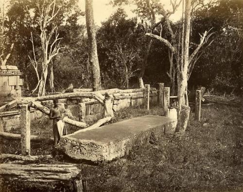 Ruins of Polonnaruwa in colonial times