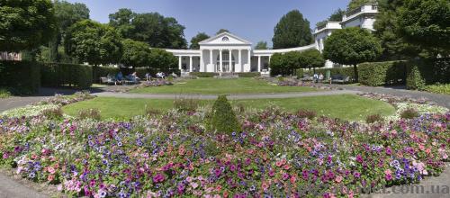 There are lots of flowers in the park.