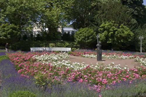 There are lots of flowers in the park.