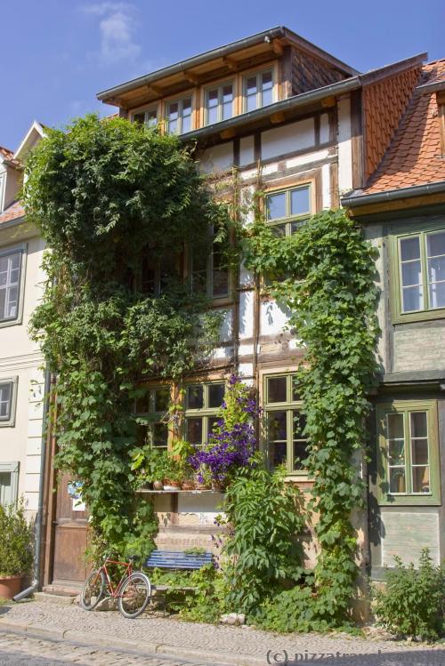 Green house in Quedlinburg