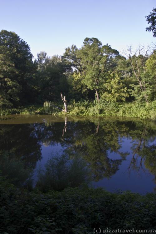 Park with a pond near the Fredro Palace