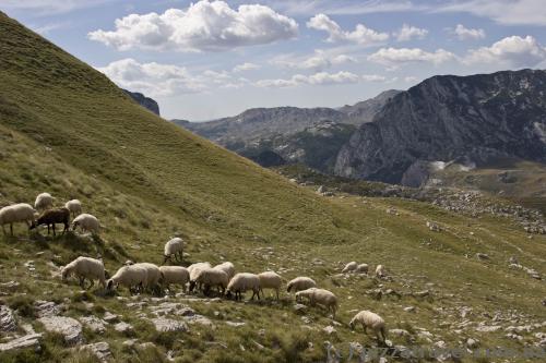 Durmitor National Park