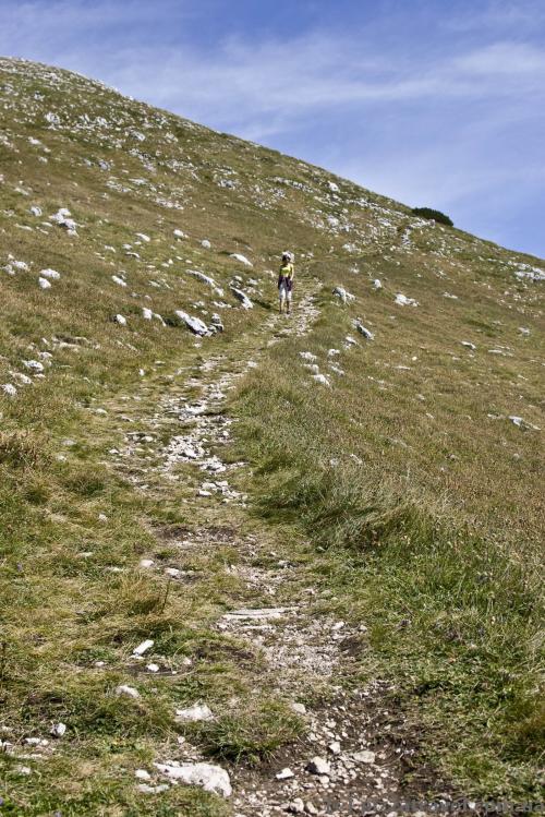 Path from the top station to the top