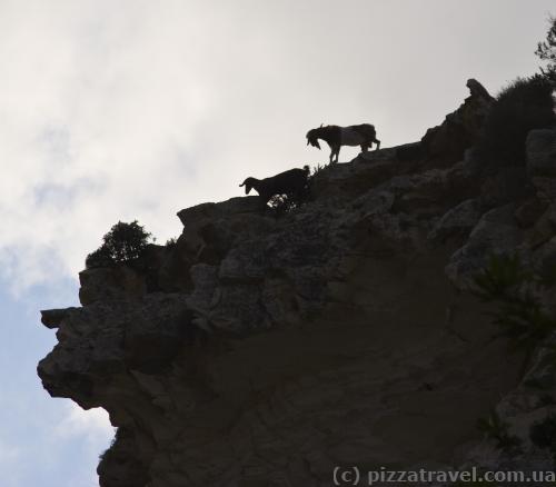 Be aware of goats throwing stones from the top