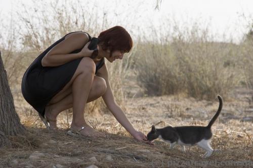 Ther's a lot of cats in the archaeological park of Paphos.