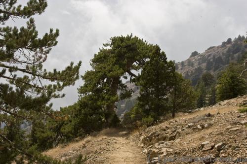 Atlanti Trail in Troodos