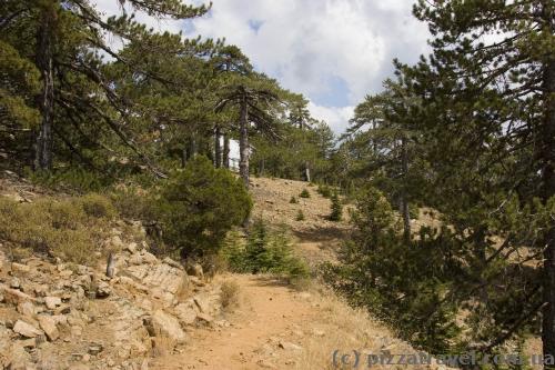 Troodos