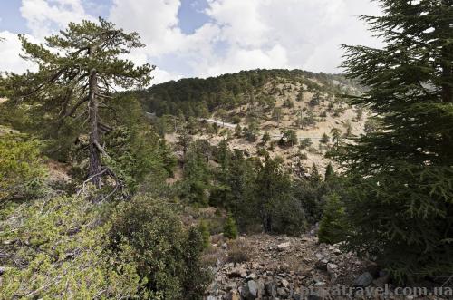 Troodos