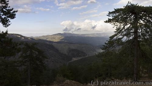 View from the Persephone Trail