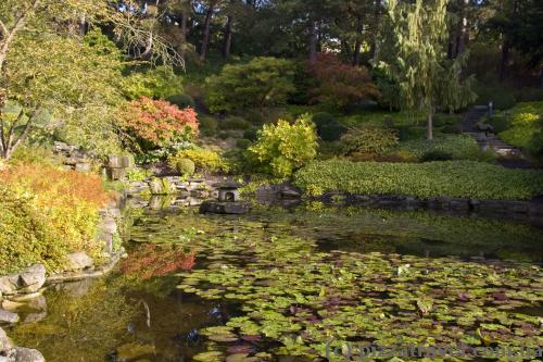 Japanese corner in the Westfalenpark