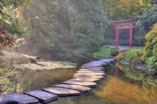 Japanese corner in the Westfalenpark 