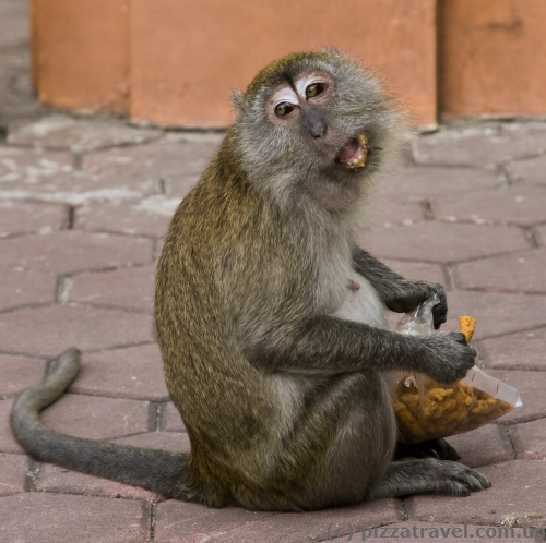 Batu Caves