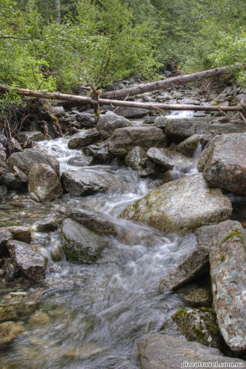 Small water stream in the forest