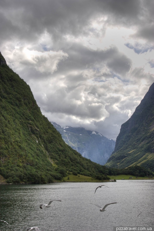 Cruise on the Sognefjord