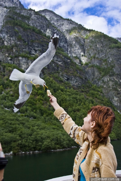 Cruise on the Sognefjord