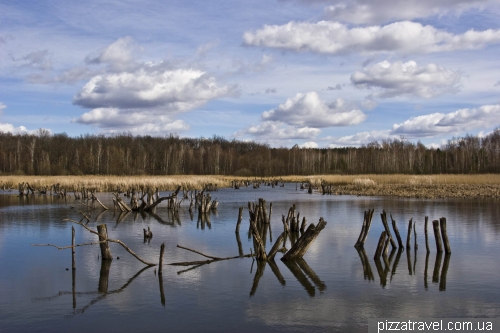 Ichnyansky National Park