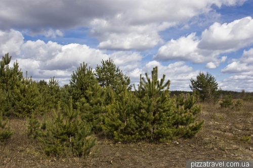 Ichnyansky National Park