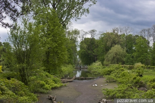  Arboretum in Obroshino