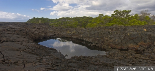 Punta Moreno (Isabela Island)