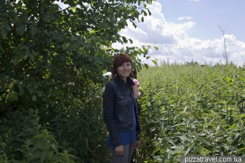 Національний природний парк «Пирятинський»