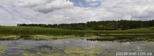 Національний природний парк «Пирятинський»