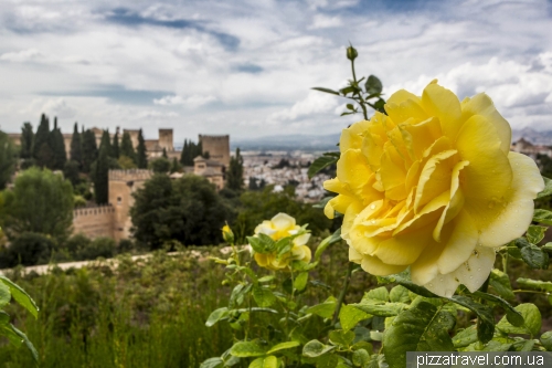 Generalife Gardens