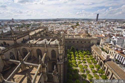 View of the Seville Cathedral and orange garden