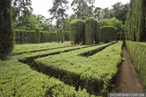 Gardens in the Alcazar of Seville