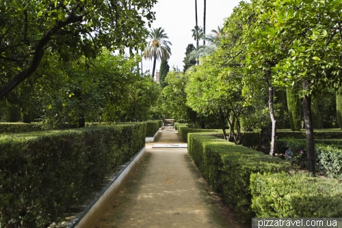  Gardens in the Alcazar of Seville