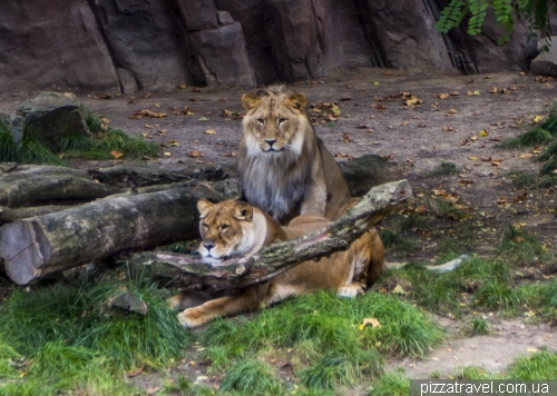 Antwerpen Zoo