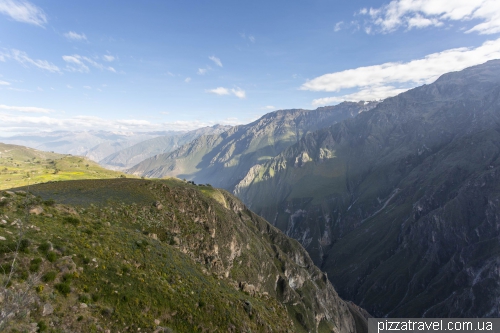 Condors in Colca Canyon