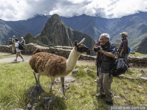 Machu Picchu