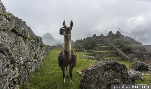 Machu Picchu