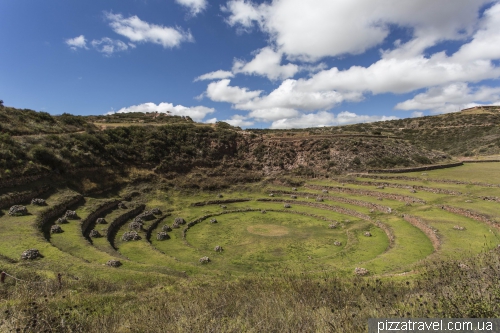 Moray