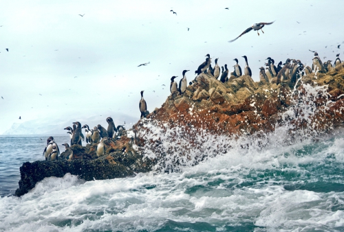 Ballestas Islands