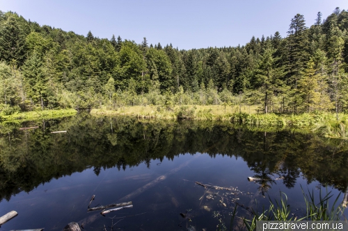 River Kamianka Canyon