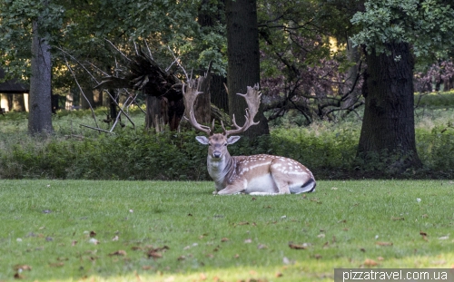 Зоосад в Ганновере (Tiergarten)